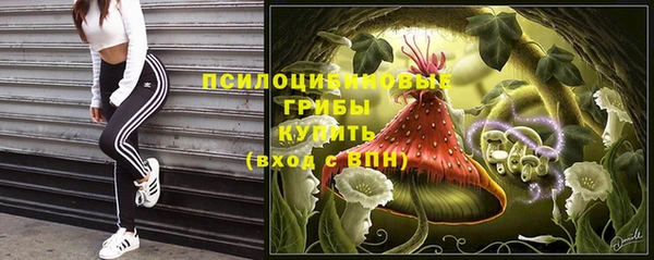 дмт Балахна