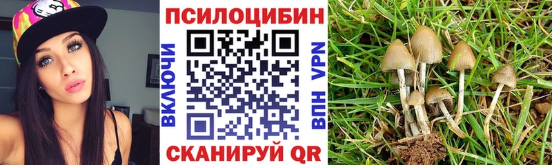 Галлюциногенные грибы Psilocybe  Кушва 